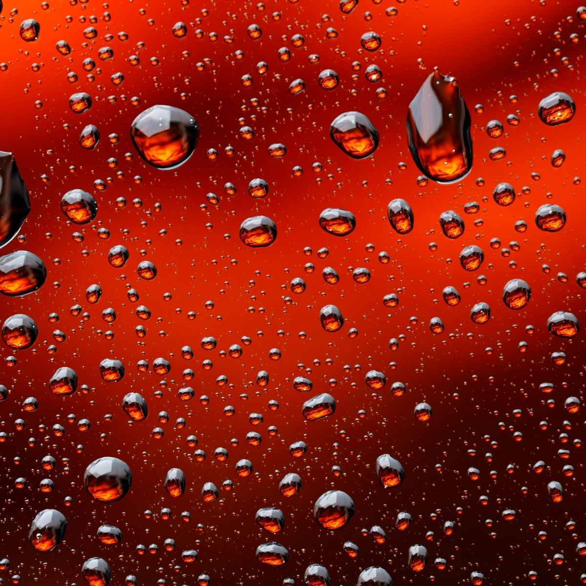 Bebidas y productos light