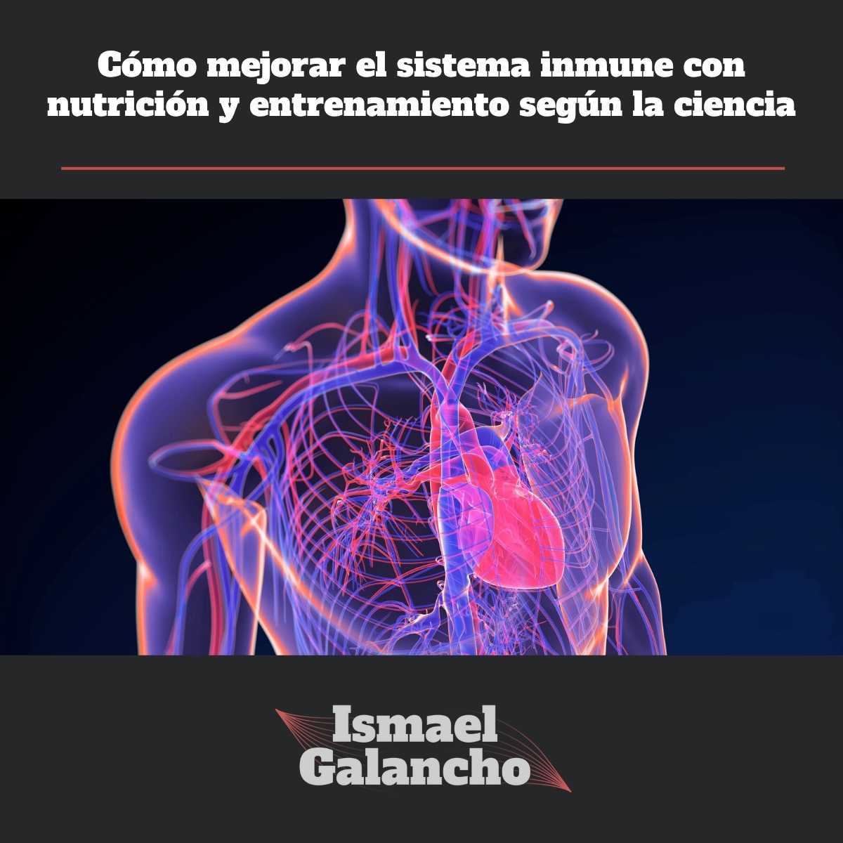 cómo mejorar el sistema inmune