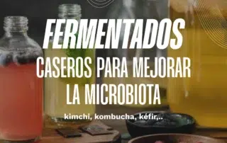 alimentos-fermentados-y-microbiota