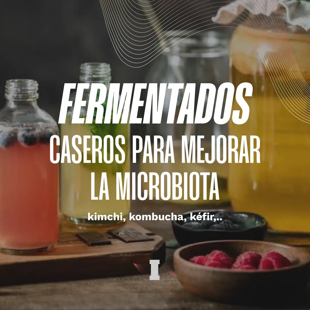 alimentos-fermentados-y-microbiota