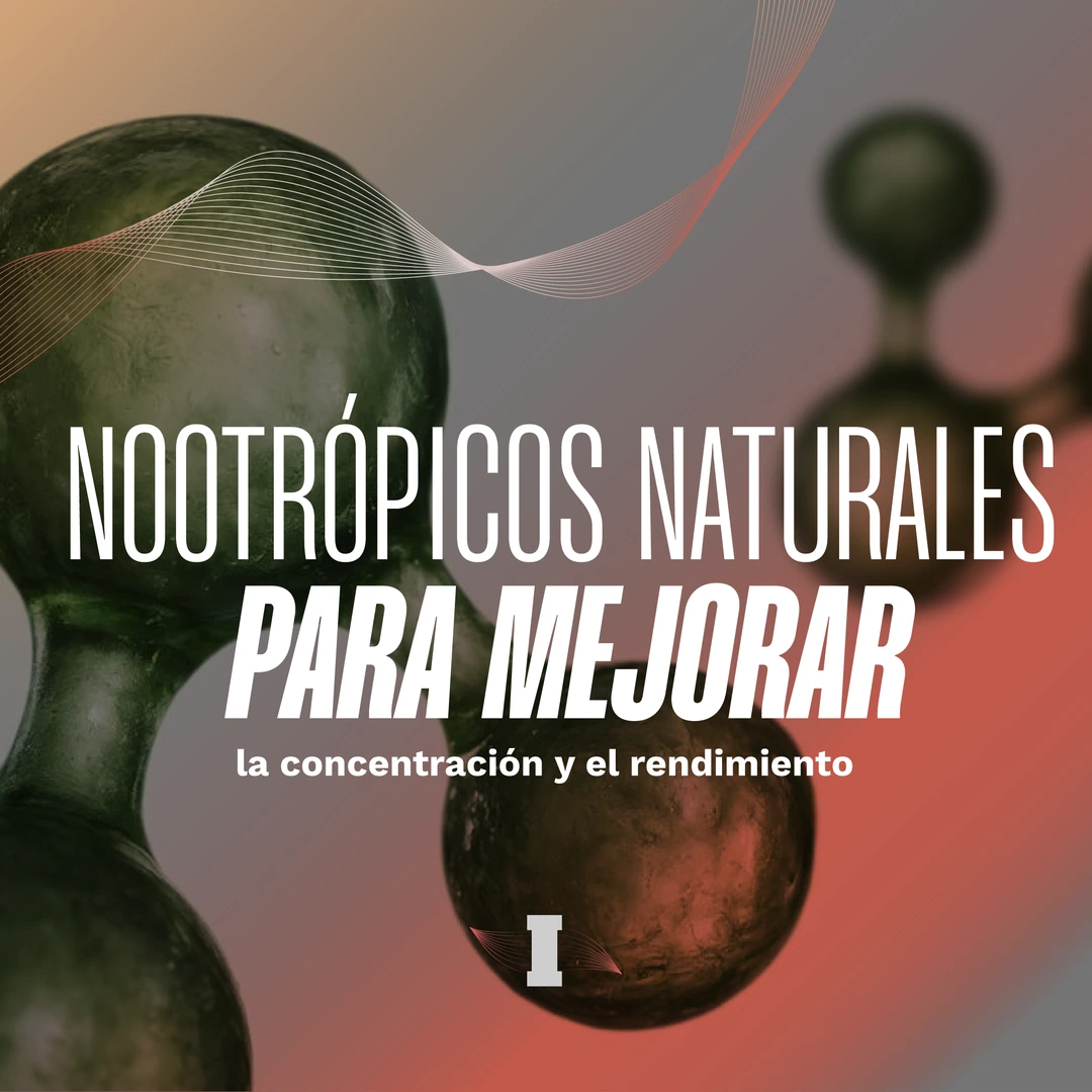 nootropicos naturales y como mejorar el rendimiento fisico y mental