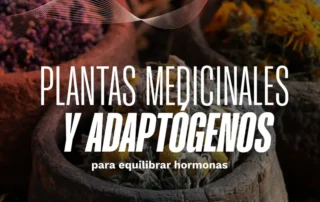 ismael galancho plantas medicinales y adaptogenos para regular hormonas