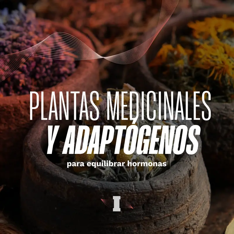 ismael galancho plantas medicinales y adaptogenos para regular hormonas