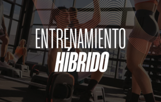 entrenamiento hibrido sin sobreentrenar