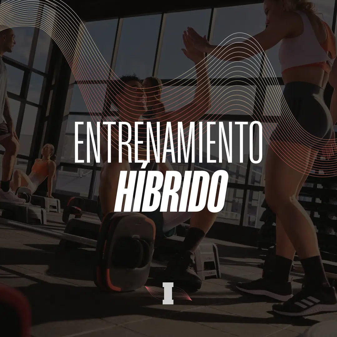 entrenamiento hibrido sin sobreentrenar