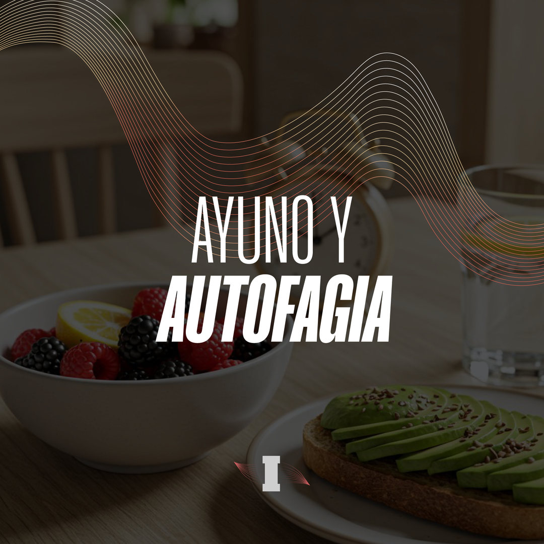como funciona el ayuno y la autofagia